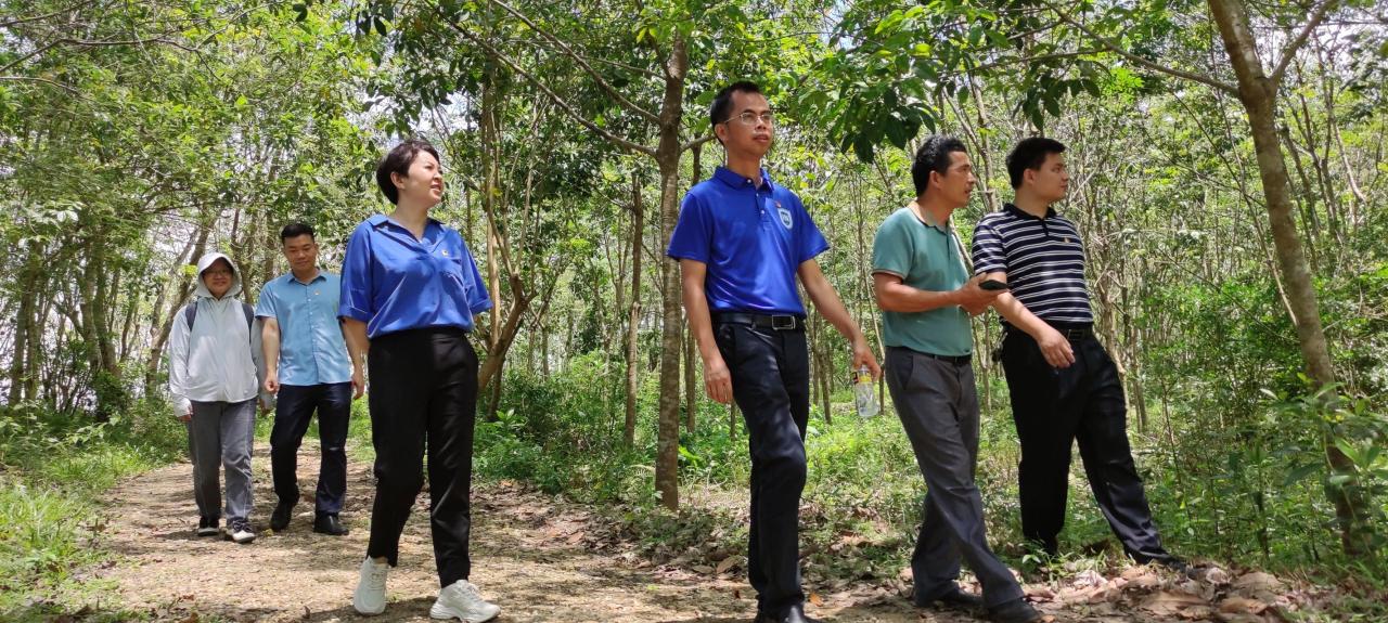 永利集团88304官网